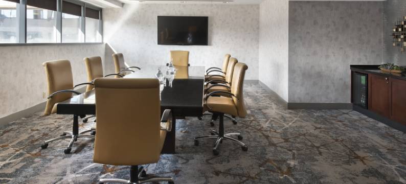 华盛顿贝塞斯达希尔顿安泊酒店(Embassy Suites by Hilton Bethesda Washington DC)图片