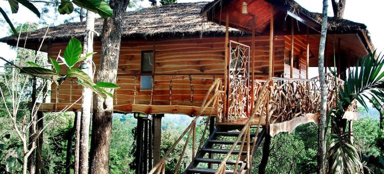 宁静度假村 - BluSalzz精选，瓦亚纳德(Tranquil Resort – BluSalzz Collection, Wayanad – Kerala)图片