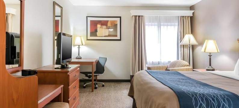 市中心-大学区舒适酒店(Comfort Inn Downtown - University Area)图片