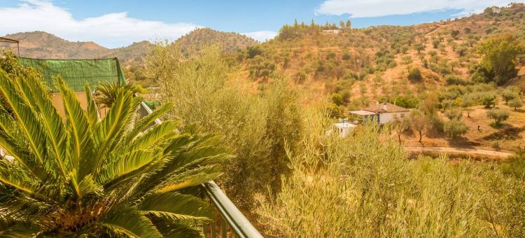 Family Villa in Costa del Sol图片