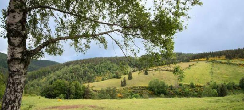 Gîte on Mont Lozère with Scenic Views图片