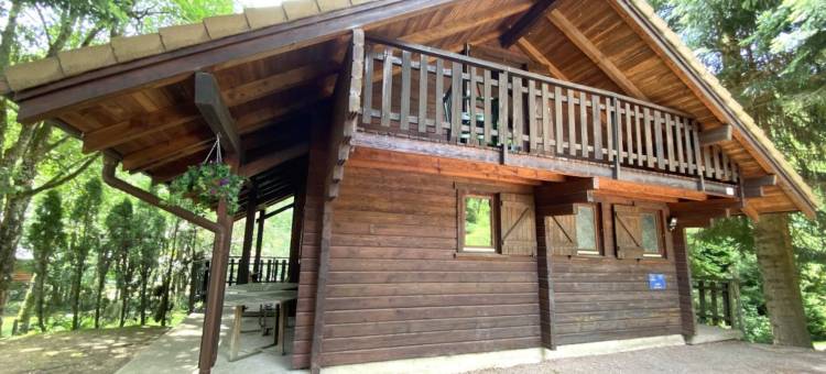Chalet in La Bresse near Ski Resort图片