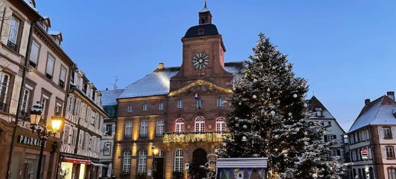 Villa 1907 Wissembourg图片