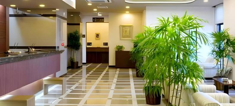 露樱酒店美川交流道口店(Hotel Route-Inn Mikawa Inter)图片