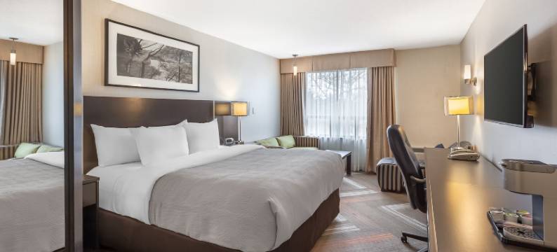 品质酒店(Quality Hotel)图片