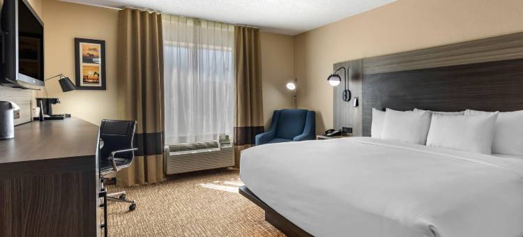 北达拉斯艾迪逊舒适套房酒店(Comfort Inn & Suites North Dallas-Addison)图片