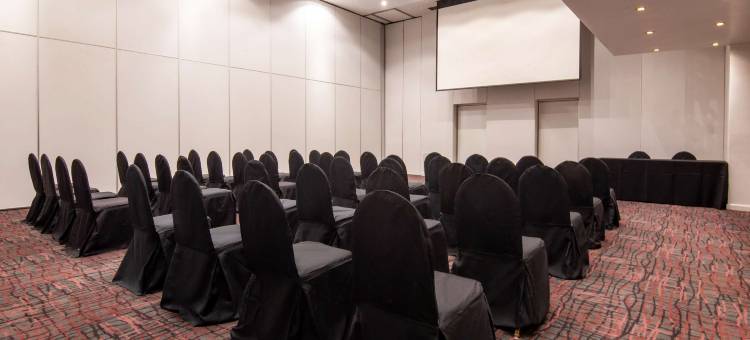 美憬阁索菲特布宜诺斯艾利斯布里克酒店(Sofitel Buenos Aires Recoleta)图片