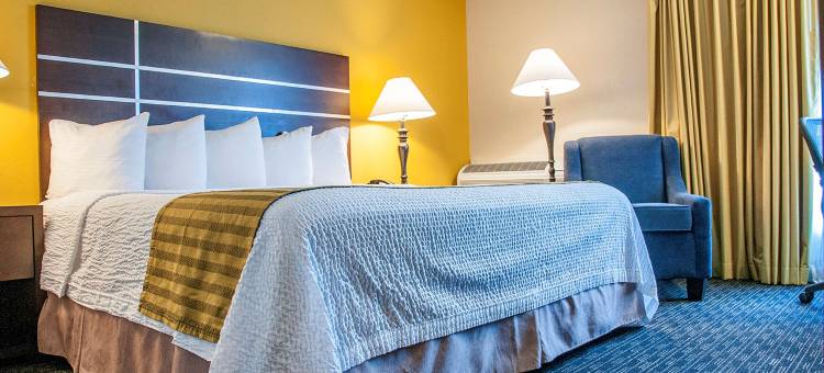 弗雷斯诺乡村贝斯特韦斯特酒店(Best Western Village Inn)图片