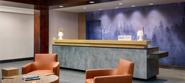 马尔蒂斯谷希尔顿启缤精选酒店(Martis Valley Lodge, Tapestry Collection by Hilton)图片