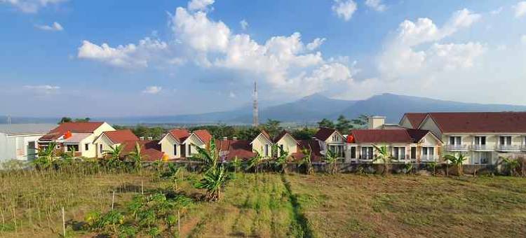格利亚维哈亚酒店(Hotel Griya Wijaya)图片