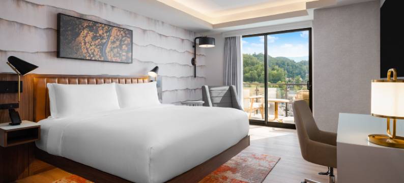 加德林堡市中心英迪格酒店(洲际酒店集团)(Hotel Indigo Gatlinburg Downtown by IHG)图片