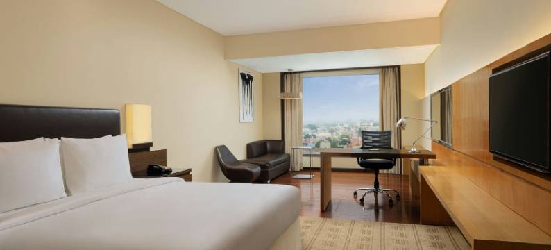 比拉斯布尔万怡酒店(Courtyard Bilaspur)图片