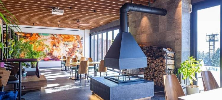 阿空加瓜度假村(The Aconcagua Resorts)图片