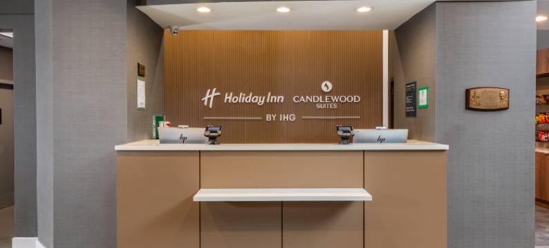 伦敦南假日酒店及套房(Holiday Inn & Suites London South by IHG)图片