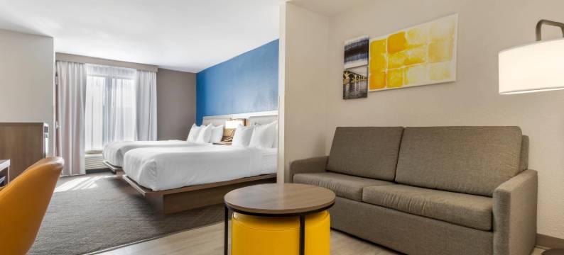 哥伦比亚东北-杰克逊堡舒适套房酒店(Comfort Suites Columbia Northeast - Fort Jackson)图片