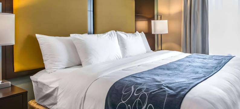 舒适套房酒店-罗德岱堡机场南游艇港(Comfort Suites Fort Lauderdale Airport South & Cruise Port)图片