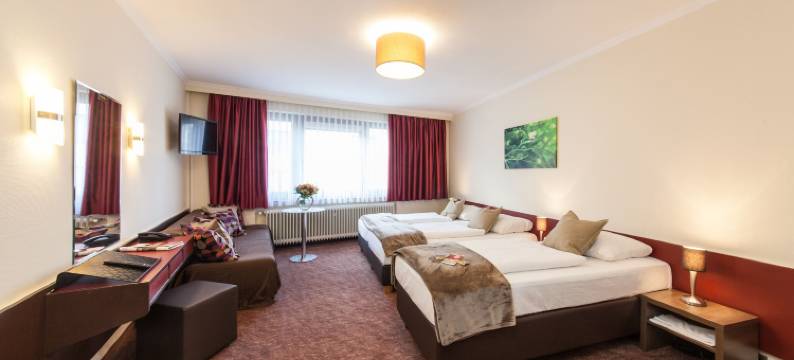 不来梅汉萨霍夫招牌酒店(Signature Hotel Hansahof Bremen)图片