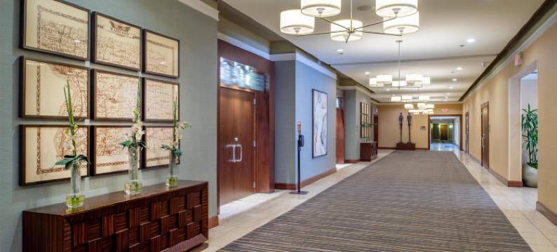 柯林斯威尔圣路易斯希尔顿逸林酒店(DoubleTree by Hilton Collinsville - St. Louis)图片