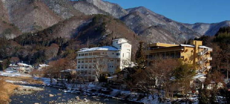 水上温泉辰巳馆(Tatsumikan)图片