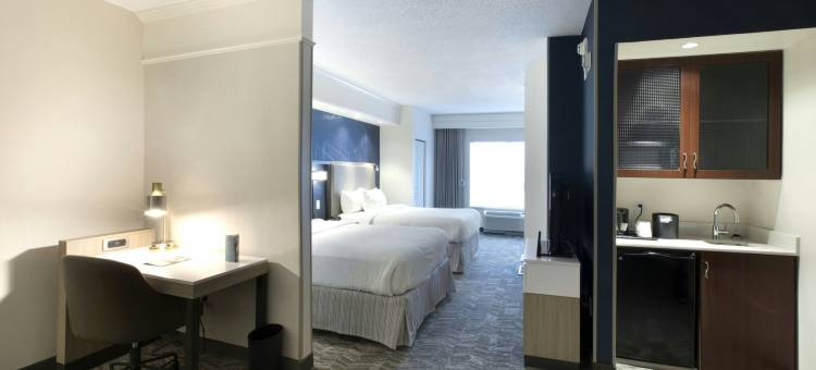 萨凡纳机场万豪SpringHill酒店(SpringHill Suites Savannah Airport)图片