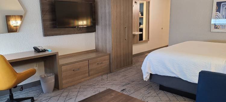 劳德代尔北-伊格泽克空港智选假日酒店(Holiday Inn Express & Suites FT LAUDERDALE N - EXEC AIRPORT by IHG)图片