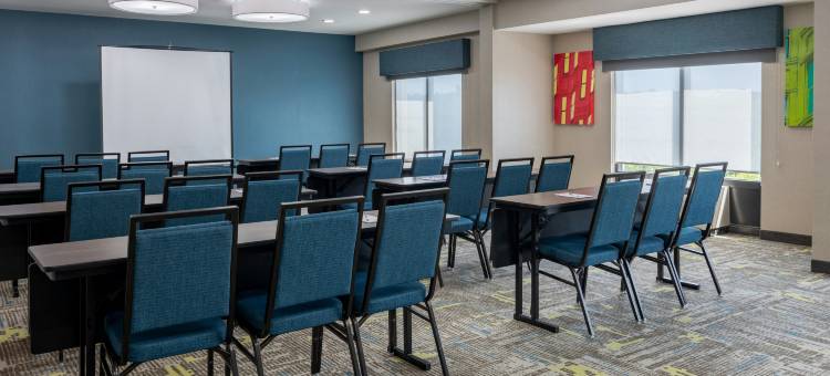 阿尔普哈雷塔罗兹韦尔欢朋套房酒店(Hampton Inn & Suites by Hilton Alpharetta Roswell)图片