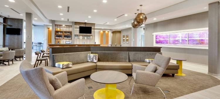 达拉斯曼斯费尔德万豪SpringHill Suites酒店(SpringHill Suites Dallas Mansfield)图片
