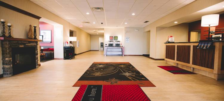 迈诺特欢朋酒店及套房(Hampton Inn & Suites Minot Airport)图片