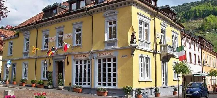 黑森林酒店(Black Forest Hotel Todtnau)图片