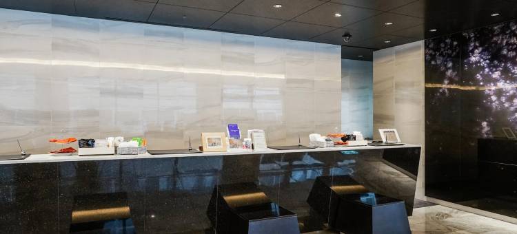 东京银座大和鲁内精选酒店(Daiwa Roynet Hotel Ginza Premier)图片