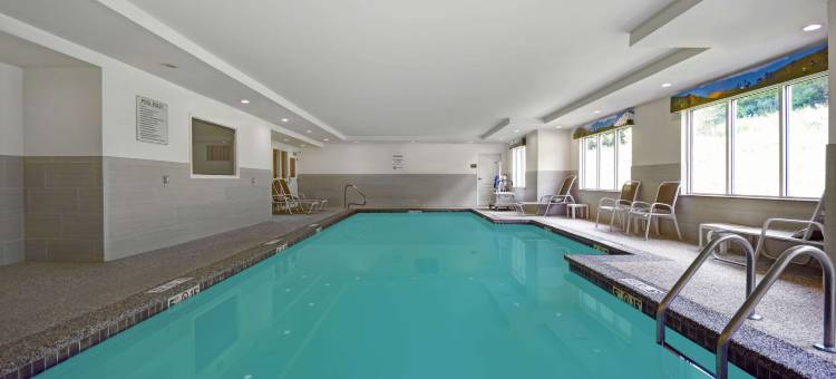 威尔顿舒适套房酒店(Comfort Inn & Suites)图片