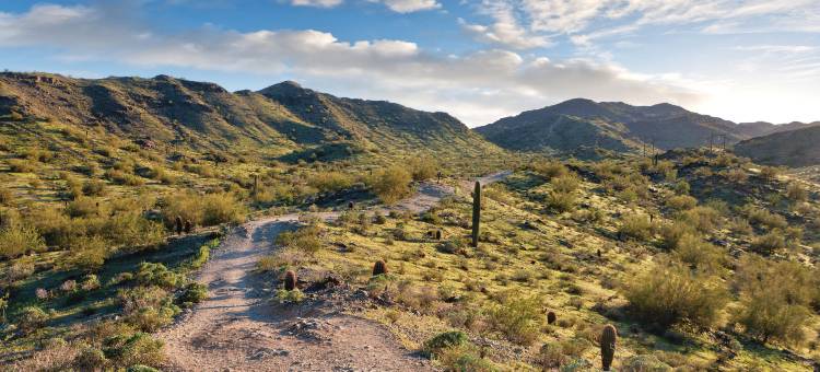 凤凰城南山自然保护区雨树酒店(WorldMark Phoenix - South Mountain Preserve)图片