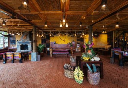 Eco Palms House - Sapa Retreat Hotel Overview