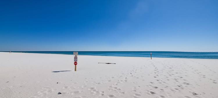 Grand Caribbean in Perdido Key 111E by Vacation Homes Collection图片