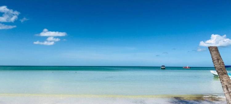 帕拉帕海滨酒店 - 限成人(Beachfront Hotel la Palapa - Adults Only)图片