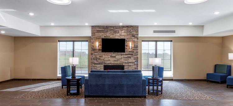 舒适套房酒店(Comfort Inn & Suites)图片