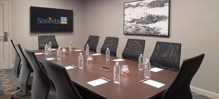 罗利-达勒姆机场/莫里斯维尔索尼斯塔ES套房酒店(Sonesta ES Suites Raleigh Durham Airport Morrisville)图片