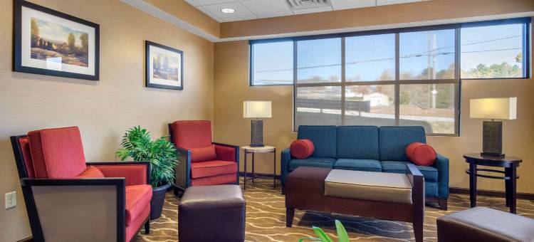 舒适套房酒店(Comfort Inn & Suites)图片