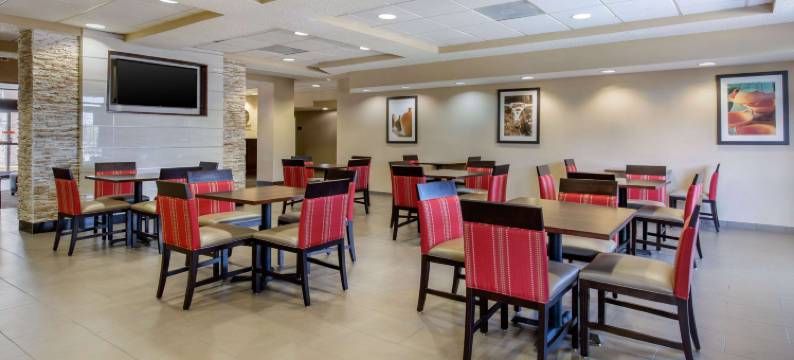 西南休斯顿舒格兰舒适套房酒店(Comfort Inn & Suites SW Houston Sugarland)图片