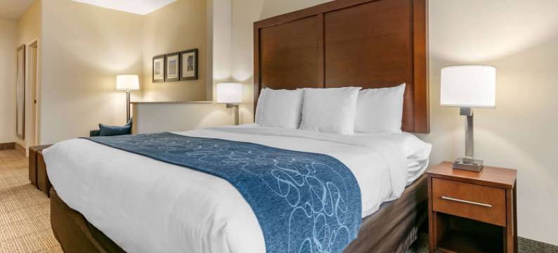 贝茨维尔舒适套房酒店(Comfort Suites)图片