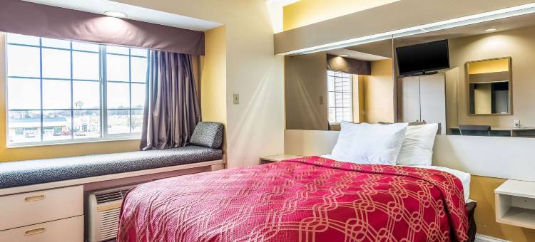 伊康套房旅馆(Econo Lodge Inn & Suites Evansville)图片