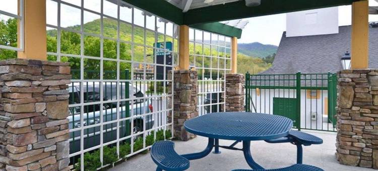 比尔特莫尔东凯艺套房酒店(Quality Inn & Suites Biltmore East)图片