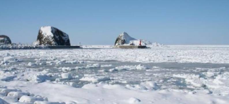 保恩之家旅馆(Bon's Home)图片