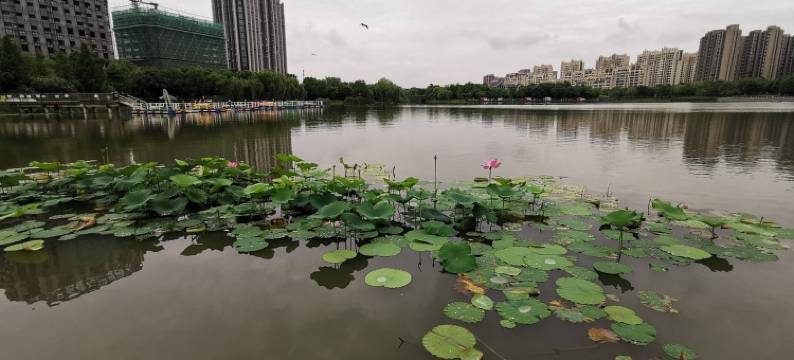 意之公寓(武威路分店)图片