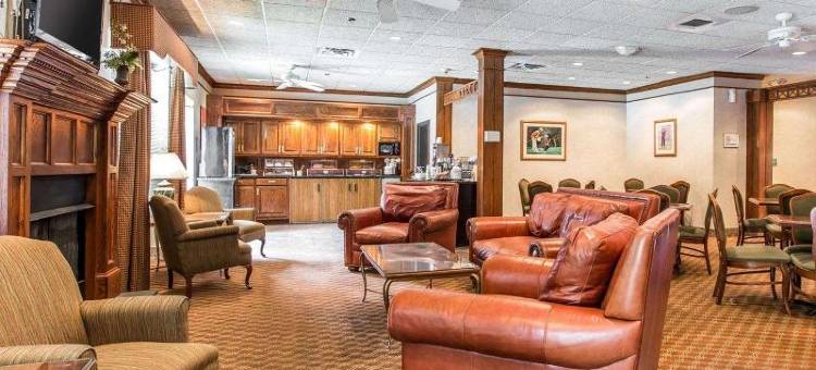 舒适酒店, 松树山 - 南派恩斯(Comfort Inn Pinehurst - Southern Pines)图片