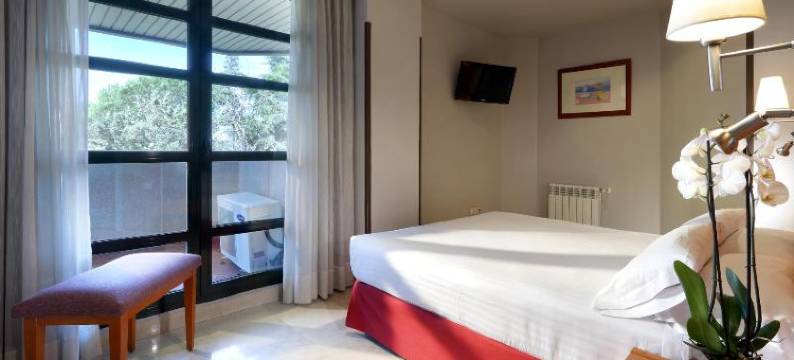 阿尔梅纳尔伊克斯格兰大酒店(Exe Gran Hotel Almenar)图片