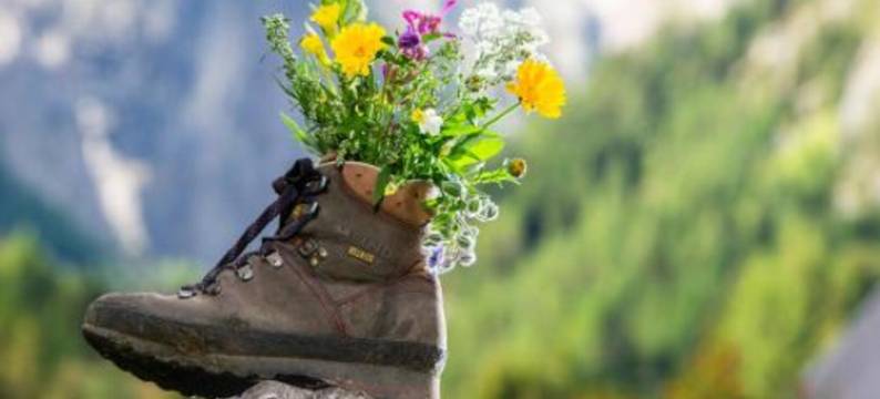 故乡 - 大自然度假酒店(Heimat - Das Natur Resort)图片