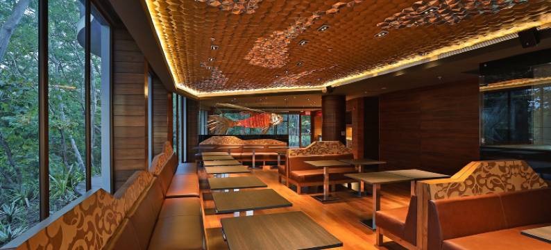 哥斯达黎加W酒店-莱瑟瓦康洽尔(W Costa Rica - Reserva Conchal)图片