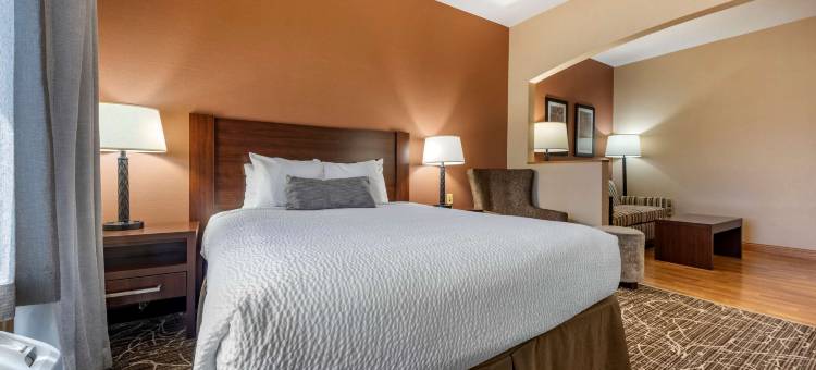 Best Western Plus Chelsea Hotel图片