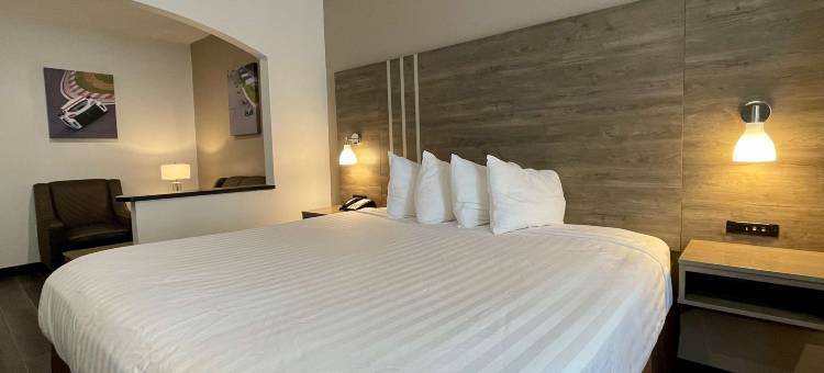 罗阿诺克贝斯特韦斯特套房酒店(Best Western Roanoke Inn  Suites)图片